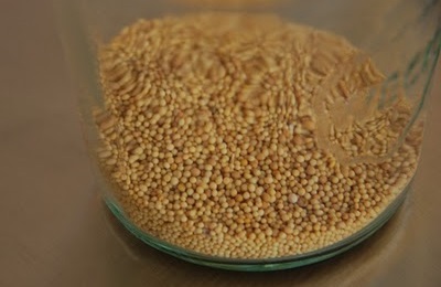 Sri Lankan Mustard