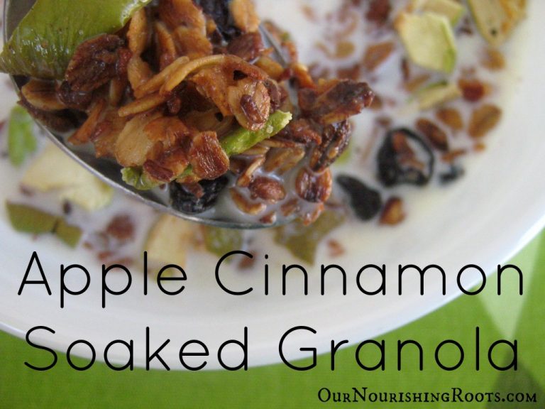 Breakfast Granola With Apple and Cinnamon