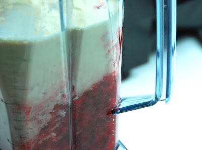 High-Speed Blenders