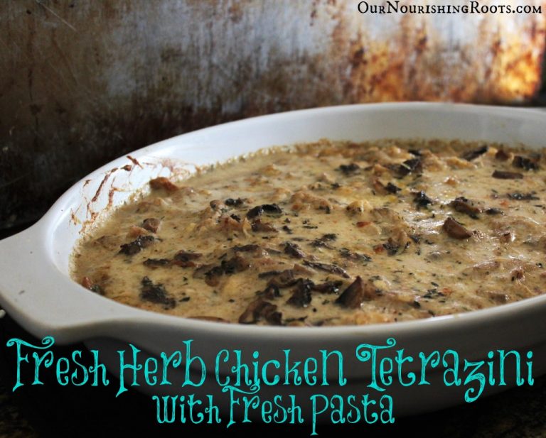 Herb Chicken Tetrazzini with Homemade Pasta