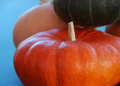 Pumpkin Marmalade