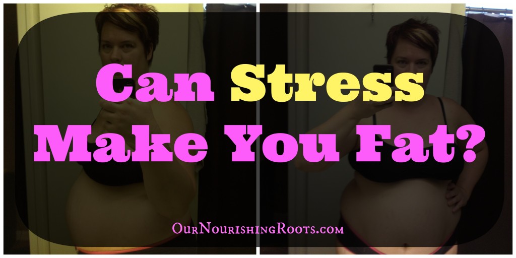 Stress and Fat