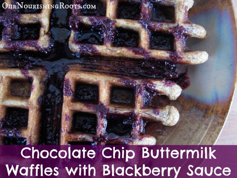 Chocolate Buttermilk Waffles + a recipe for Blackberry Sauce