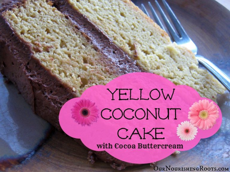 Coconut Cake frosted with Cocoa Buttercream