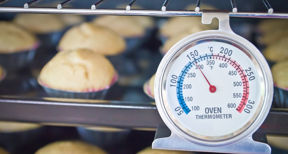 Best Oven Thermometers in 2022 - Reviews