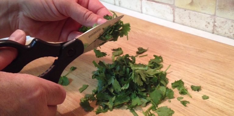 Kitchen Shears