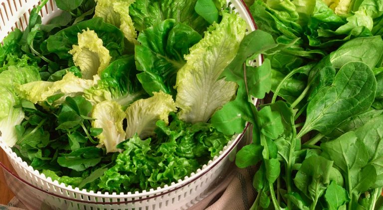 Alternate Uses For Salad Spinners