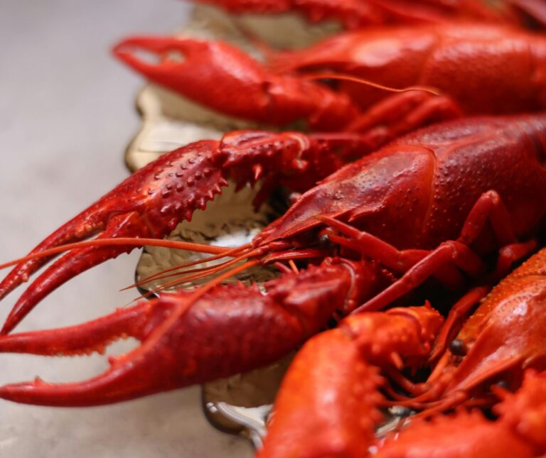 Lobster Macaroni and Cheese: Comfort Food Meets Coastal Elegance