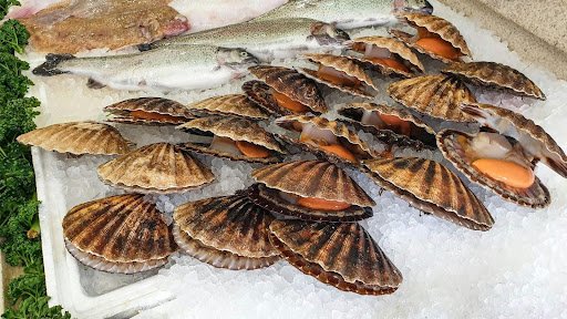 The Growing Appeal of Keeping Wild Caught Seafood at Home
