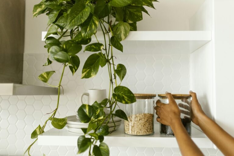 3 Pro-Health Home Kitchen Reorganizations You Can Do in Ten Minutes